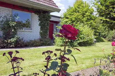 Image de Lovely summer house with a home theater.