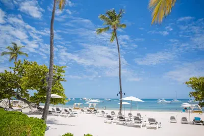 Image de Beach Front condo with ocean views with private beach