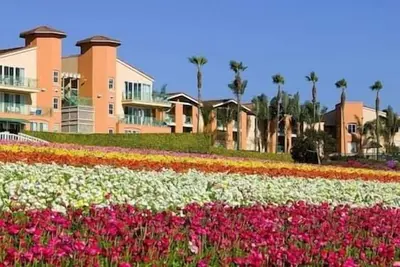 Image de 3/2 Grand Pacific Palisades Resort & Spa, Pool