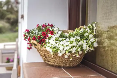 Image de Cortijo La Paloma