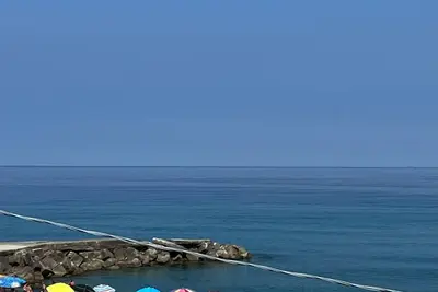 Image de Stella Marina