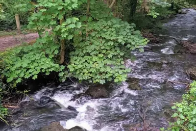 Image de Mont Joly Gîte rénové en Normandie avec joli jardin. Forêt et cascade à 5mns.