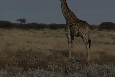 Image de mi casa su casa. ike family-friendly or pet-friendly).