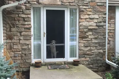 Image de Charming 3-bedroom house with Ac and WiFi in De Pere