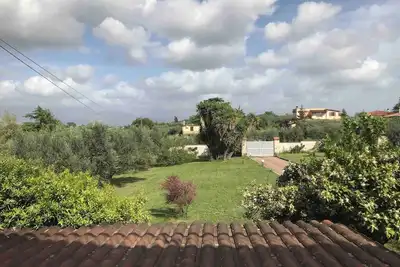 Image de A quiet corner in the Roman countryside, among olive trees and vineyards.