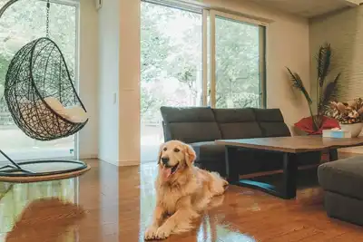 Image de Standard Limited to one group per day Vast gro / Sanbu-gun Chiba