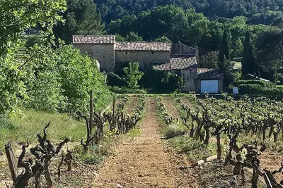 Image de Authentieke mas Gelegen Temidden van de Gouden Driehoek, Omgeven van Natuur