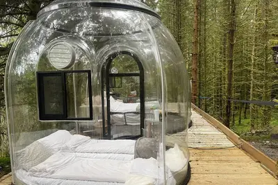Image de Magical Forest Dome Getaway