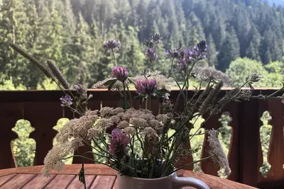 Image de Chalet apartment with balcony and mountain view - three bedrooms, two bathrooms