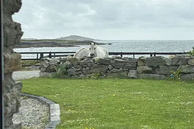 Apartment 471 - Clifden - sleeps 4 guests  in 2 bedrooms