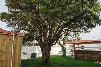 Image de Villa ile Oléron La Cotinière 6 personnes jardin clos