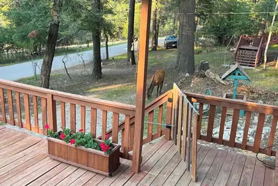 Image de A Cabin In The Clouds is refreshingly bright and just a short walk to Burro St.