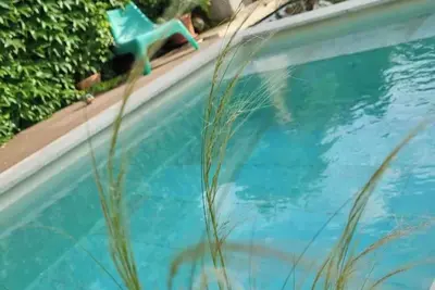 Image de Villa en Provence avec piscine