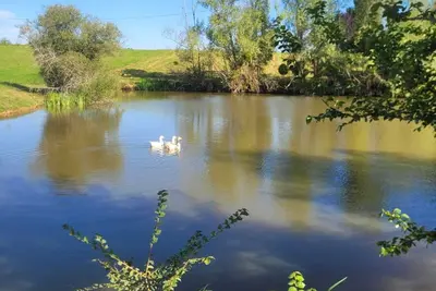 Image de Gîte Le Grand Castillon - Pêche étangs et foret privés - Jacuzzi (option)