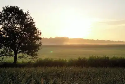 Image de Alpakablick vacation apartment - including free alpaca meet & greet