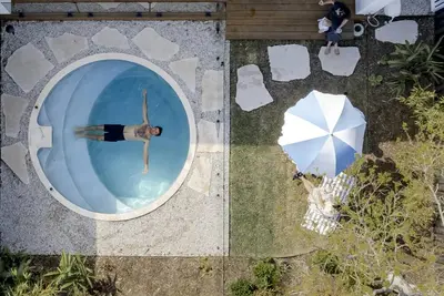 Image de Rubus Blue, Berry - by Linnaeus Collection