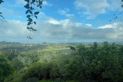 Vineyard House Carpinteria Ca