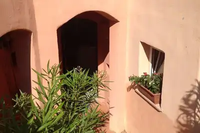 Image de The oleanders of Calarossa Sardinia