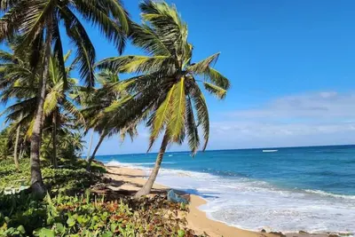 Image de White Paradise Seaside Haven: Relax and Unwind