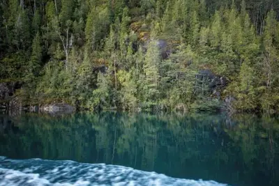 Image de Lakefront Disconnect: Kayaks, Tours & Fishing