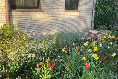 Image de Vacation cottage Magnolie Xanten