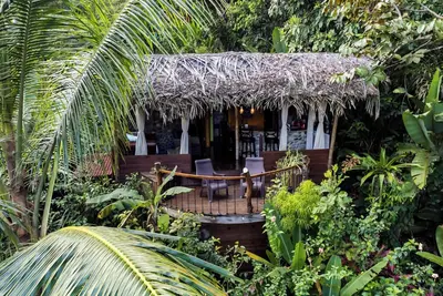 Custom Jungle Home by the Beach