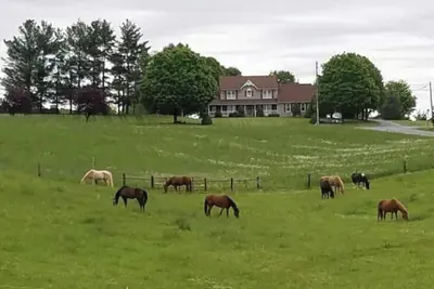 Image de Galloping Getaway on the rolling hills of GemStone Stable\n