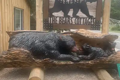 Image de Grizzly Cabin at The Bears Cottages in Inlet