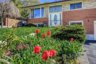 Image de Charming legal one bedroom unit on a quiet street