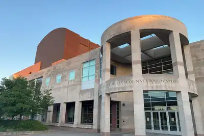 Image de All American Casa