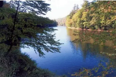 Image de Lovely cabin with perfect view of Clarion river in charming Cooksburg