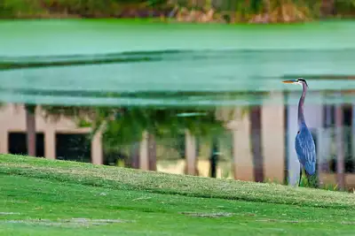 Image de Reel Relaxation Fishing Condo 2b/2b