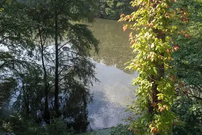 Image de Peaceful Condo on Lake Marion in Santee, Sc. Time to play golf and go fishing!