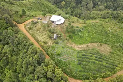 Coffee Farmstay and Roastery in Sumatra, offgrid, authentic, natural