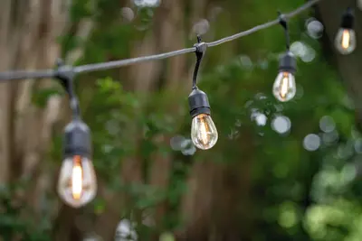 Image de Meet Genevieve! The 100 year old craftsman less than One Mile from Uab & Asc!