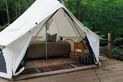 Image de Ilex Forest Retreat: Camp Azalea