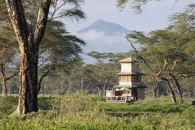 Image de The Watch Tower | 360' bed view shower understars