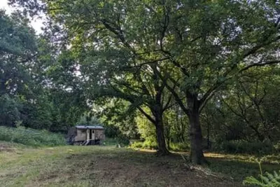 Image de Dingle Glenn secluded woodland cabin