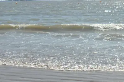 Image de appart studio 4 pers (17260) Montpellier de medillan/royan