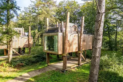 Image de Loft dans les arbres de la forêt par Belvilla