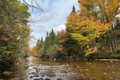 Image de Spa - Rivière & Vue sur la Forêt | Le Petit Cocon
