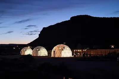 Image de White Camel - Dome #3
