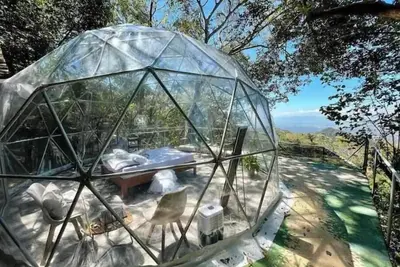 Image de A Transparent Dome In The Jungle