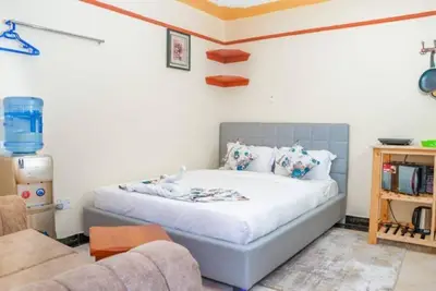 Image de Shalom Apartments Naivasha - Studio Apartment with king bed - 16
