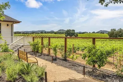Image de Luxury Healdsburg Estate & Vines