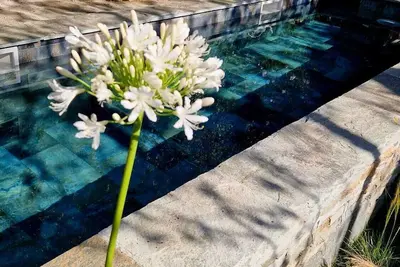 Image de très bel appartement avec son jardin et piscine privée au cœur du village.