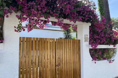 Image de Explore Lisbon and enjoy the wonderful beaches. All in one place.