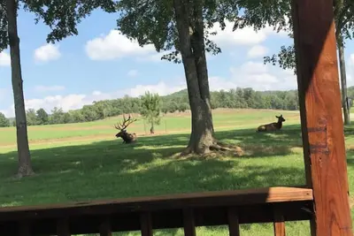 Image de Lake Cabin in Wildlife Preserve