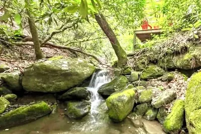 Image de Dancing Bear: Top rated on 2 Private Creek acres w screened porch, WiFi, Grill