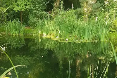 Image de Ferienhaus Glücksnest - 4-bed vacation home shower/Wc, 2 bedrooms